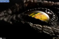 1:1 Male Velociraptor Eye Life-Size Replica