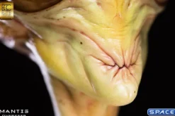 1:1 Mantis Overseer Life-Size Bust