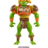 Michelangelo