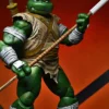Michelangelo The Wanderer