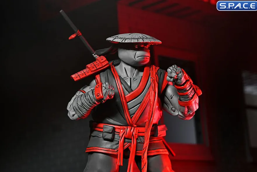 Nightwatcher Donatello