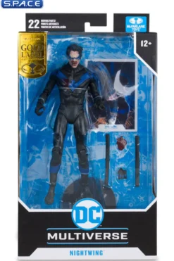 Nightwing from DC vs. Vampires