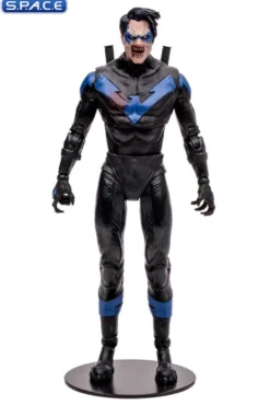 Nightwing from DC vs. Vampires