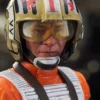 Red Leader Bust