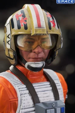 Red Leader Bust