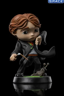 Ron Weasley with Broken Wand