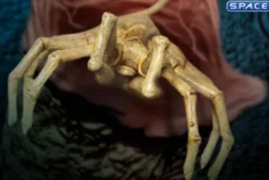 1/12 Scale Alien One:12 Collective
