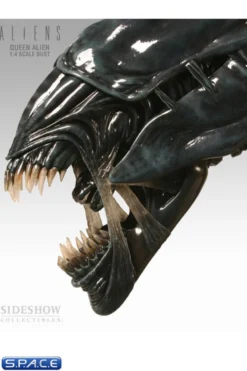 1/4 Scale Alien Queen Bust