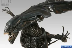 1/4 Scale Alien Queen Bust