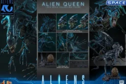 1/6 Scale Alien Queen Movie Masterpiece MMS903