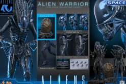 1/6 Scale Alien Warrior Deluxe Version Movie Masterpiece MMS899