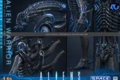 1/6 Scale Alien Warrior Deluxe Version Movie Masterpiece MMS899
