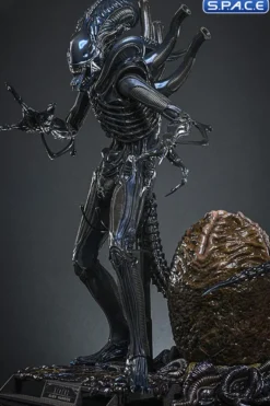 1/6 Scale Alien Warrior Deluxe Version Movie Masterpiece MMS899