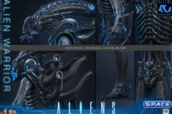 1/6 Scale Alien Warrior Movie Masterpiece MMS898