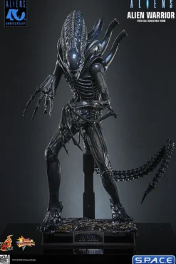 1/6 Scale Alien Warrior Movie Masterpiece MMS898