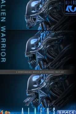 1/6 Scale Alien Warrior Movie Masterpiece MMS898