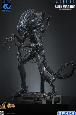 1/6 Scale Alien Warrior Movie Masterpiece MMS898