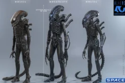 1/6 Scale Alien Warrior Movie Masterpiece MMS898