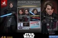 1/6 Scale Anakin Skywalker Concept Art Version