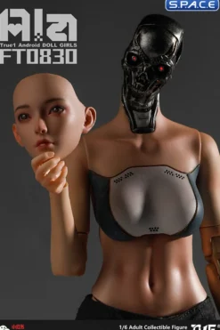 1/6 Scale Android Ala