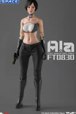 1/6 Scale Android Ala
