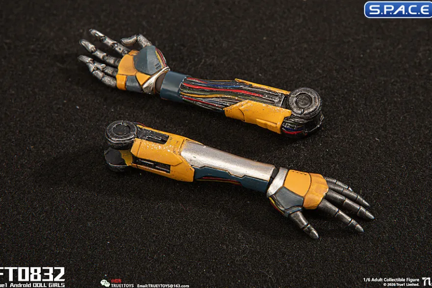 1/6 Scale Android Bill - white hair Version
