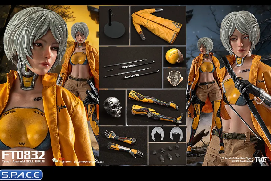 1/6 Scale Android Bill - white hair Version