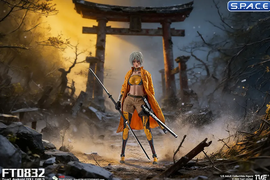 1/6 Scale Android Bill - white hair Version