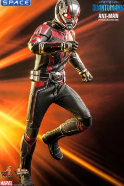 1/6 Scale Ant-Man Movie Masterpiece MMS690