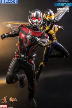 1/6 Scale Ant-Man Movie Masterpiece MMS690