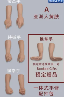 1/6 Scale Arm Set MH2202A