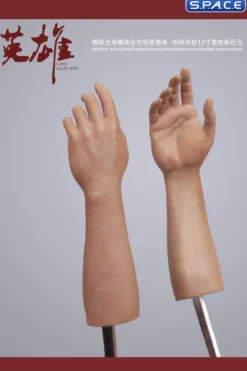 1/6 Scale Arm Set MH2202B