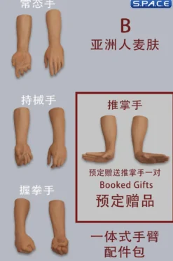 1/6 Scale Arm Set MH2202B