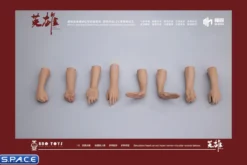 1/6 Scale Arm Set MH2202C