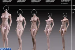 1/6 Scale Asian Girl type Seamless pale Body /