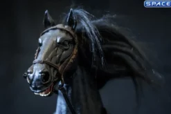 1/12 Scale Basic Horse Version HY-015