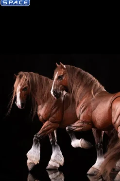 1/12 Scale Basic Horse Version HY-010