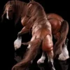 1/12 Scale Basic Horse Version HY-011
