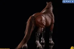 1/12 Scale Basic Horse Version HY-011
