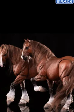 1/12 Scale Basic Horse Version HY-011