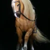 1/12 Scale Basic Horse Version HY-016