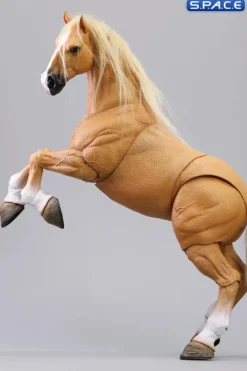 1/12 Scale Basic Horse Version HY-016