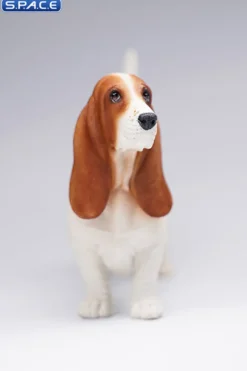 1/6 Scale Basset Hound