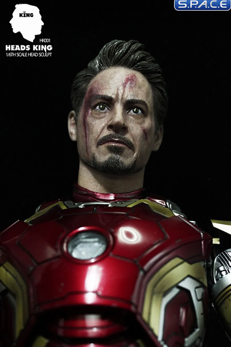 1/6 Scale battle damaged Tony