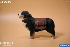1/6 Scale Bernese Mountain Dog