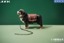 1/6 Scale Bernese Mountain Dog