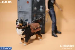 1/6 Scale Bernese Mountain Dog