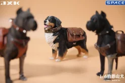 1/6 Scale Bernese Mountain Dog