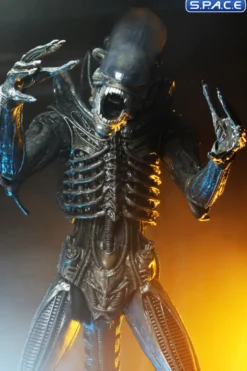 1/4 Scale Big Chap Alien