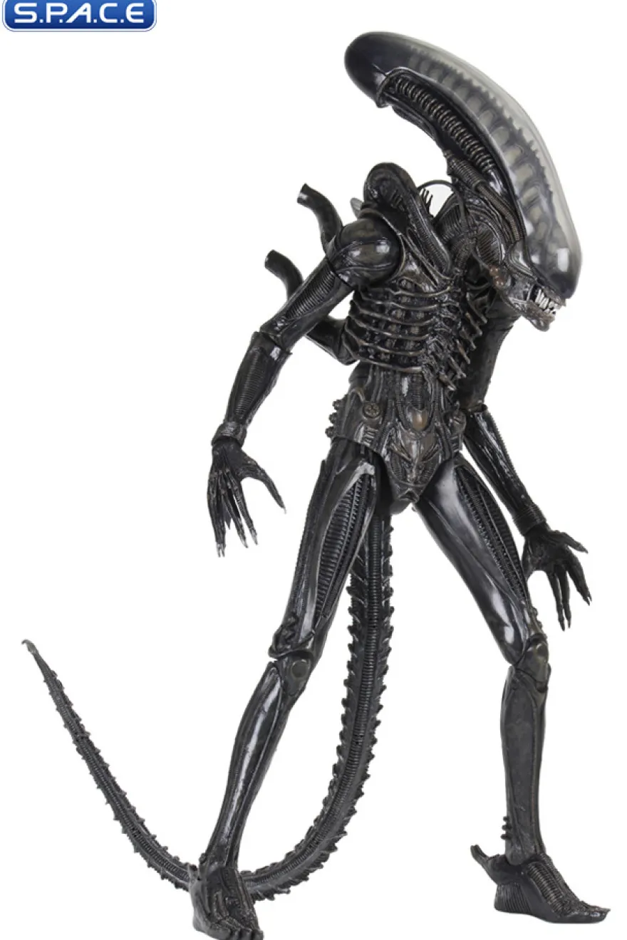 1/4 Scale Big Chap Alien
